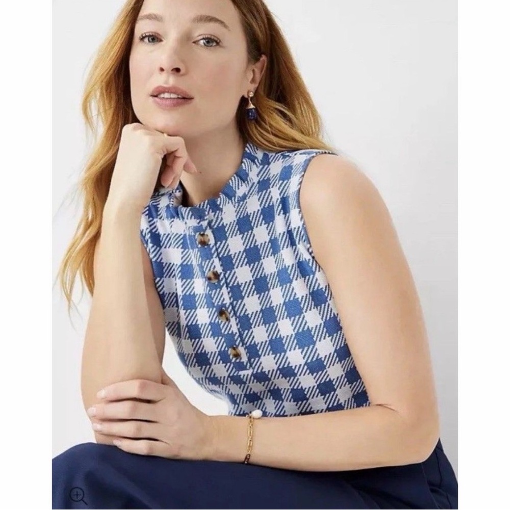 Ann Taylor Petite Blue and White Gingham Ruffle Neck Sleeveless Knit Top XL